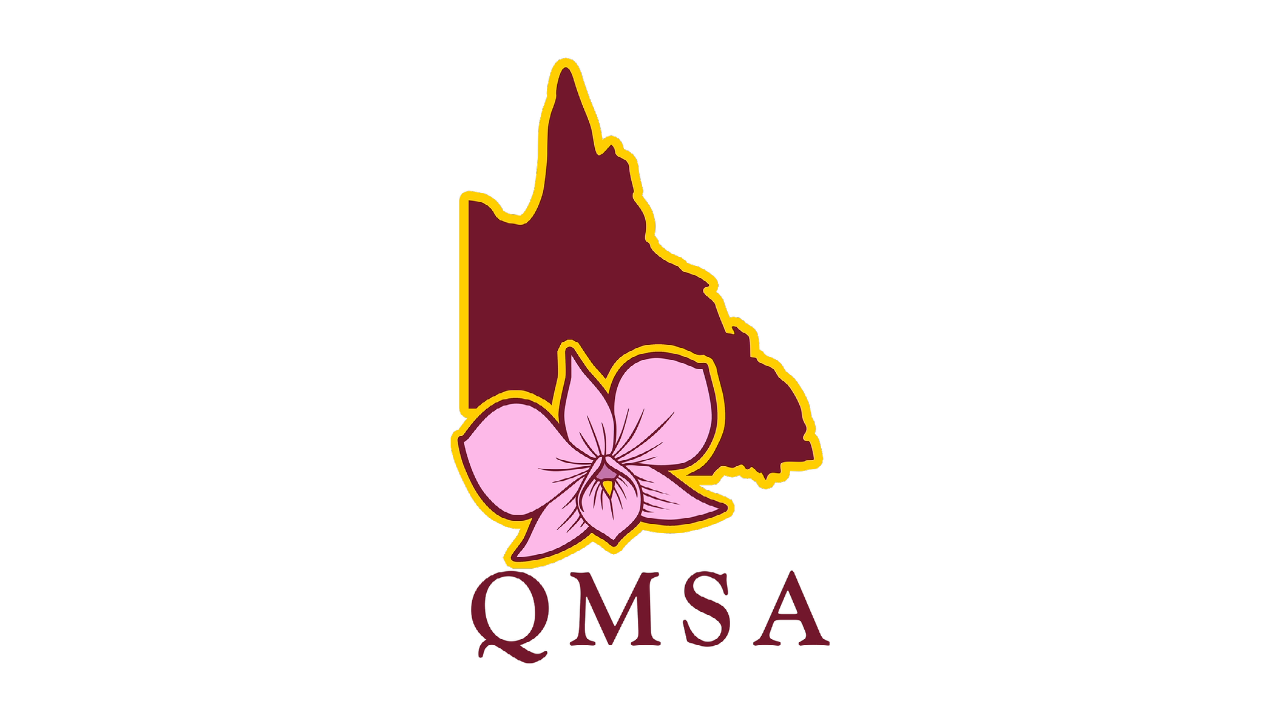 Our QMSA Logo